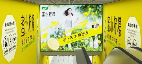 零點廣告 武漢地鐵品牌代理與景觀設計的融合，共筑城市流動風景線